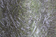 Carbrooke fibreglass roof work